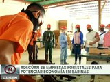 Entérate | Habilitan 26 empresas forestales para potenciar la economía en Barinas