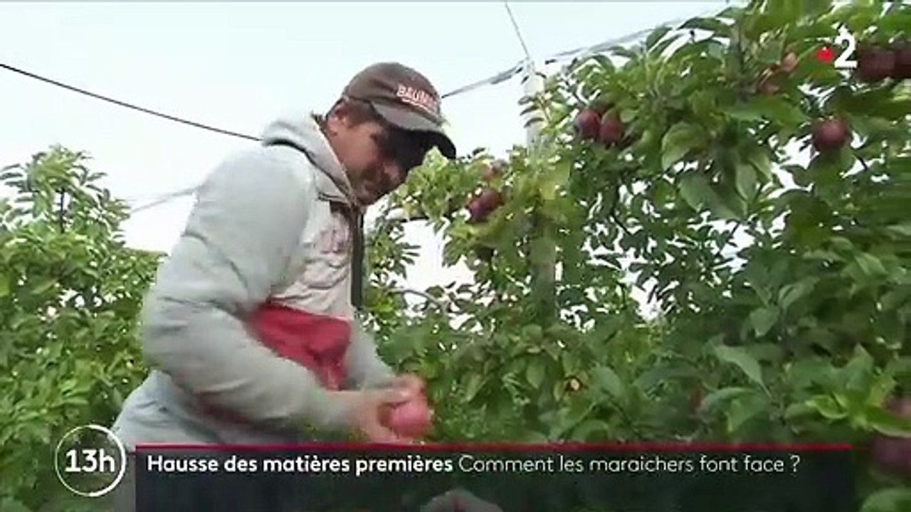 Hausse des matières premières : les agriculteurs contraints d'augmenter leurs prix de vente