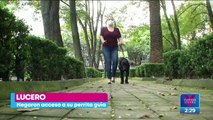 Churrería niega acceso a mujer con perro guía en la CDMX