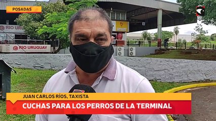 Cuchas para los perros de la terminal