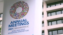 FMI: pandemia freia recuperação econômica