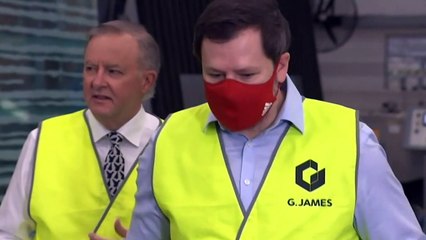 Anthony Albanese and Ed Husic call for local manufacturing