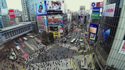 Home Sweet Home Alone Trailer