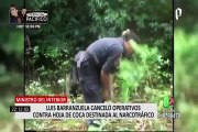 ¡Ministerio del Interior bajo la lupa! Suspensión de operativos contra hoja de coca sería perjudicial para el país