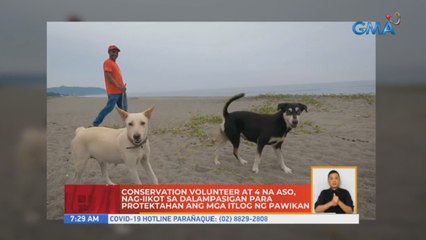 Conservation volunteer at 4 na aso, nag-iikot sa dalampasigan para protektahan ang mga itlog ng pawikan | UB