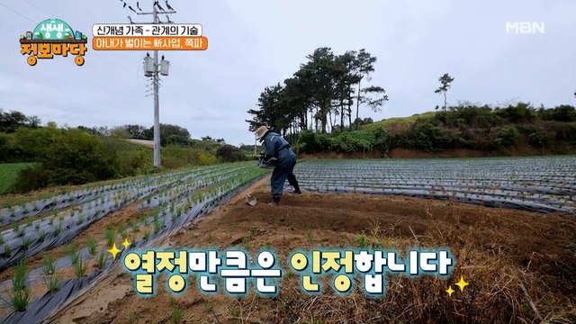 아내가 돈이 필요했던 이유! 다름 아닌 쪽파 사업?