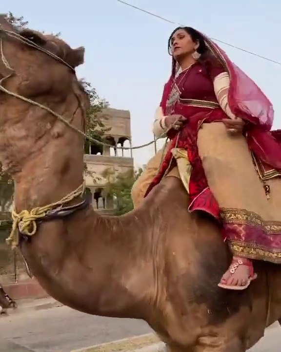 Indian Woman Rides a  Camel