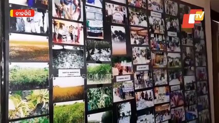 Special Story | This Research Centre In Balasore Has More Than 1000 Varieties Of Paddy