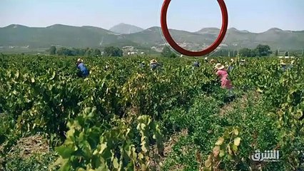 ...على جدول الأعمال ، وأكدنا اليوم مرة أخرى...