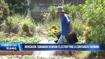 Pemprov DKI Jakarta Buat 'Container Farming' di Ragunan