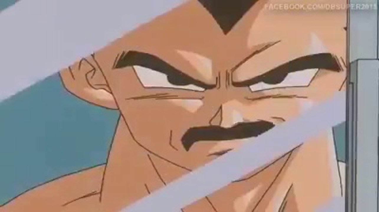 Comercial gillette vegeta