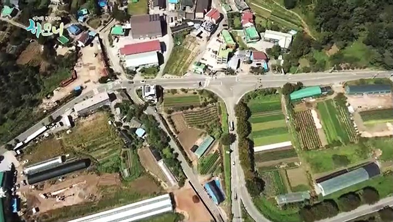 [하모니] 넝쿨째 굴러온 사랑! 네팔댁 최선주 씨 - 3부