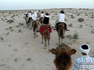 Ballade en dromadaire - Tunisie