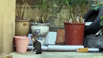 帰宅途中モデル活動