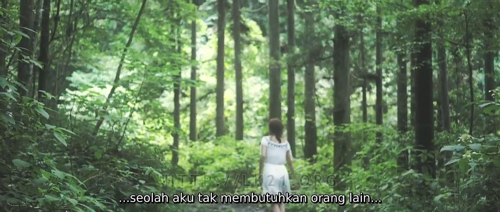 THE LAST DREAM (2017)