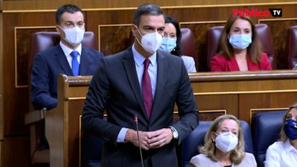 Download Video: Pedro Sánchez responde a Pablo Casado: 