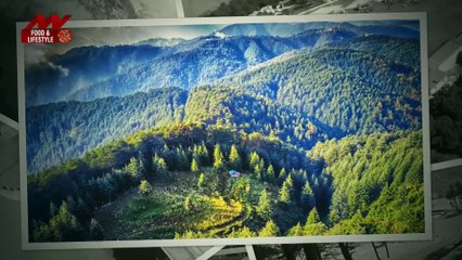 The city of dreams is just a short distance from Shimla