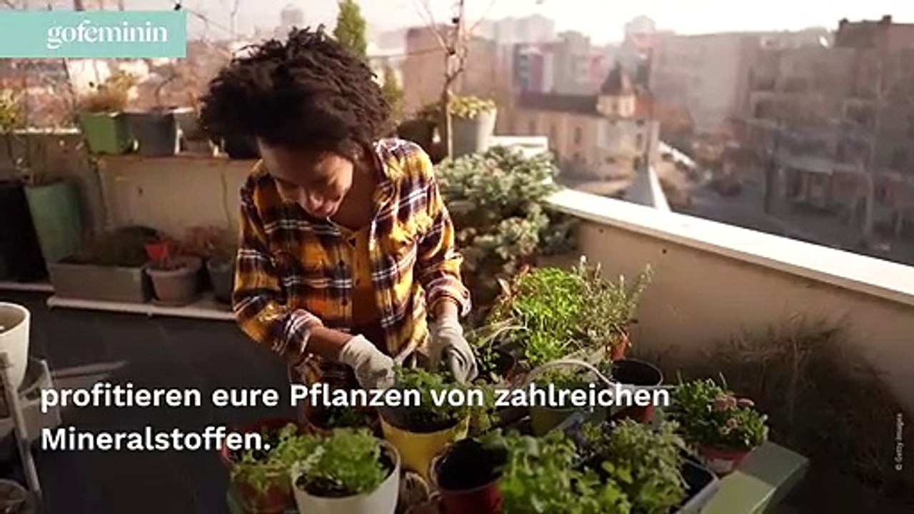 Natürliche Dünger: Tolle Tipps für eine natürliche Gartenpflege