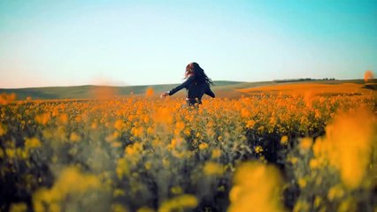 John Caesar - La Danse des Pirates