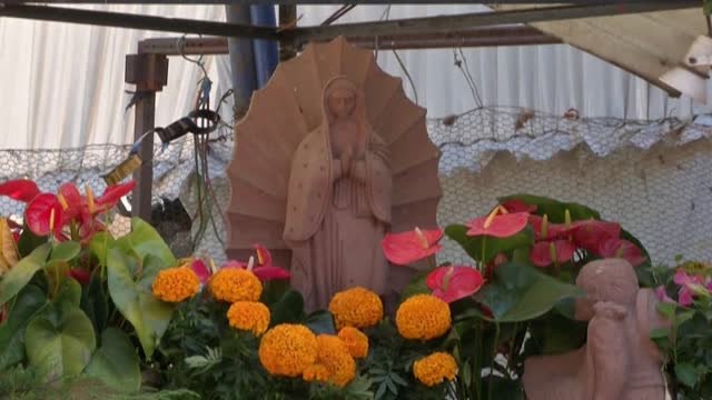 México se prepara para celebrar el Día de los Muertos y las casas, las calles y los improvisados altares se cubren de caléndulas naranjas