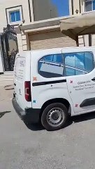 أسد طليق يتجول بحرية في مدينة سعودية