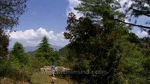 Rupin Dang talking about Rhododendron trees at Wilderness Films' Himalayan estate