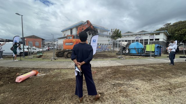 Barachois : l’ancienne bibliothèque nationale va laisser place à une forêt urbaine