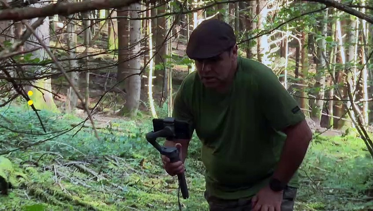 En Alsace, un mycologue cartonne sur le web avec ses vidéos sur les champignons