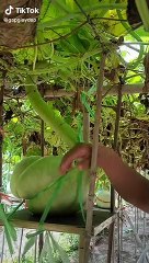 [Đời sống xã hội] 81420