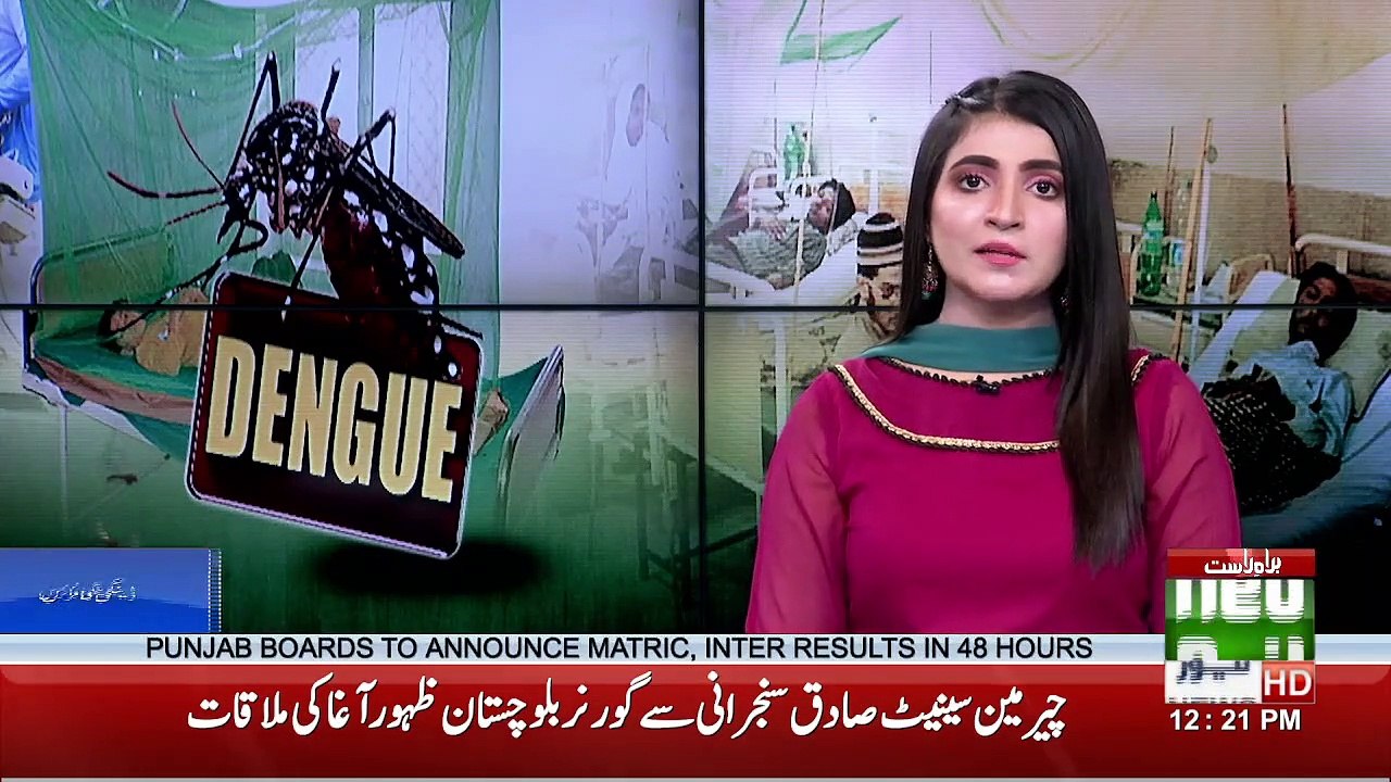 News Bulletin | 12:00 PM | 13 October 2021 | Neo News