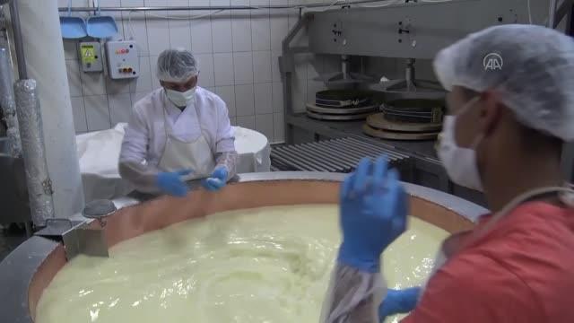 Sezonun ilk gravyer peyniri tezgahlarda yerini aldı