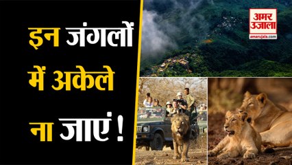देश के पांच Most Dangerous Forests