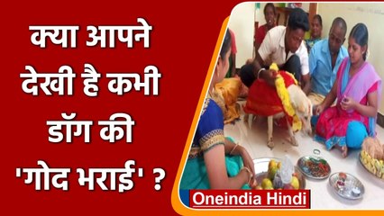 Tamilnadu में पालतू Dog Baby shower का आयोजन, सोशल मीडिया पर तस्वीरें वायरल | वनइंडिया हिंदी
