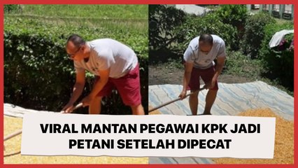 Viral Mantan Pegawai KPK Jadi Petani Setelah Dipecat, Dikenal Sebagai Anak Muda Jenius
