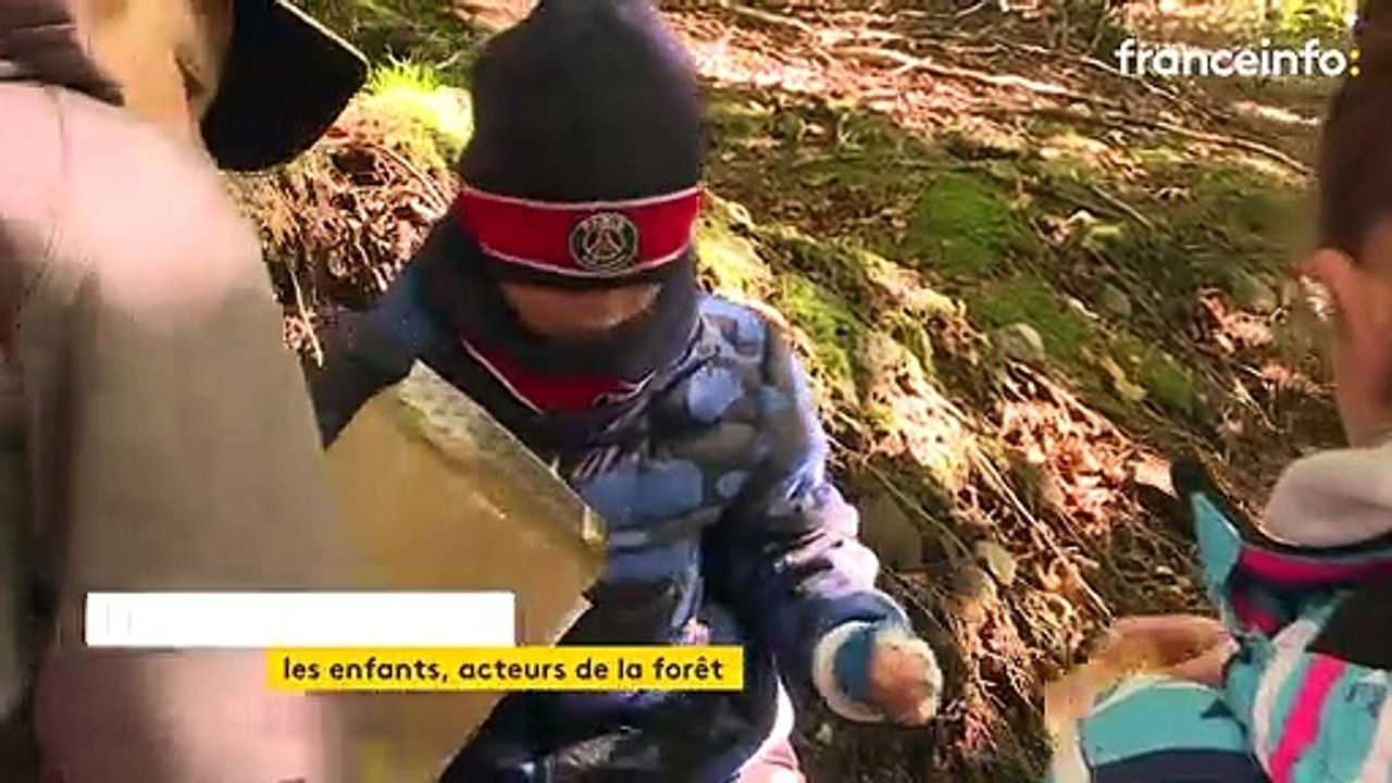 Dans le Cantal, des enfants gèrent une parcelle de forêt pour apprendre à protéger la nature