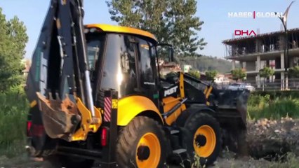 Giresun'da çukurda 10 ölü köpek bulundu