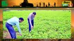 Kisan Bulletin : पीएम (PM Modi) ने की Gati Shakti Yojana (गति शक्ति योजना) लांच, अब होगी किसानों की आमदनी डबल (Farmer's Income) ? Green TV