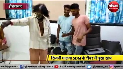 होशंगाबाद :   सिवनी मालवा SDM के चैंबर में घुसा सांप