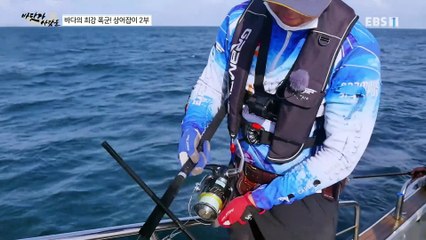 바닷가 사람들 - 바다의 최강 폭군! 상어잡이 2부_#001