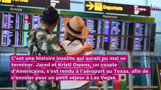 Insolite : partis en vacances, ils découvrent leur chien caché dans la valise