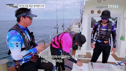 바닷가 사람들 - 바다의 최강 폭군! 상어잡이 2부_#003
