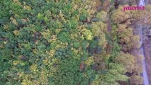 Ganos Dağı eteklerindeki ormanlar sonbahar renklerine büründü