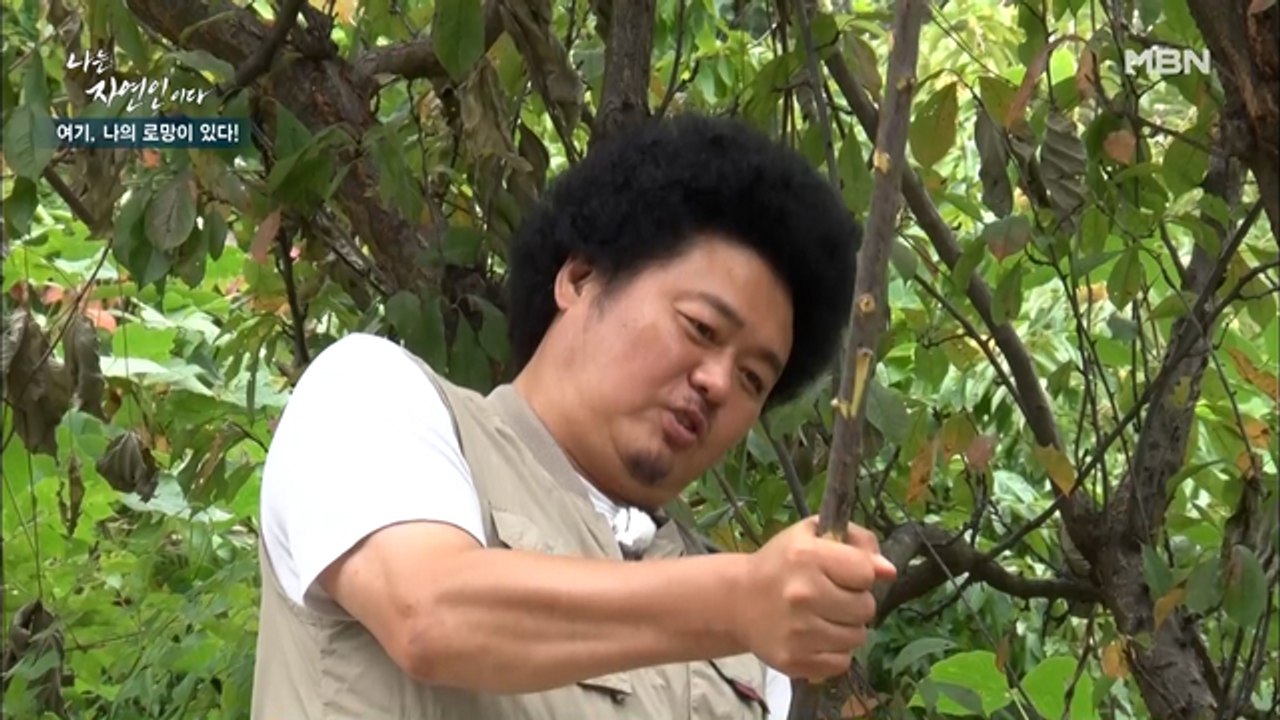 이걸로 낚싯대를?! 과연 자연인이 선택한 낚싯대 재료는?