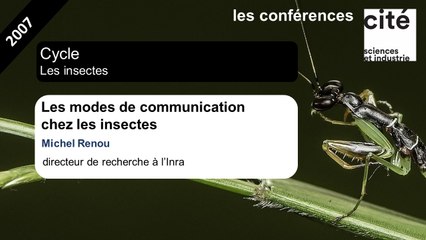 Les modes de communication chez les insectes