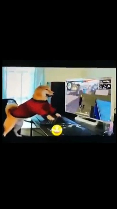 expectation vs reality ||funny dog comedy||Dogs playing garena free fire||Free Fire Montage ||Free Fire WhatsApp Status ||