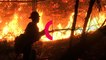 Local emergency declared as California battles devastating wildfires