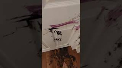 Kids Decide to Paint The Entire Upstairs Themselves
