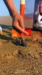 Lucu!!! Lihat kelakua  pria ini!!!