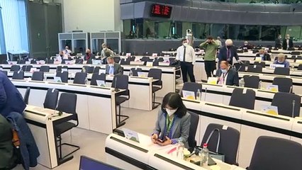 Descargar video: Regiones europeas piden tener voz y voto en negociaciones sobre cambio climático