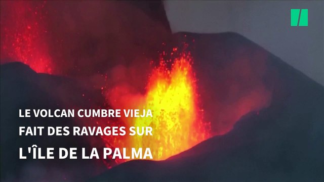 Cumbre Vieja: des chiens piégés par la lave du volcan nourris par drone